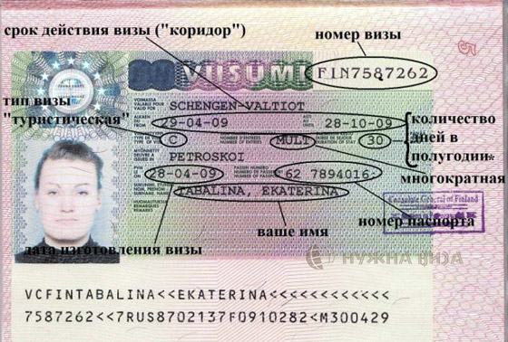 54648648.jpg